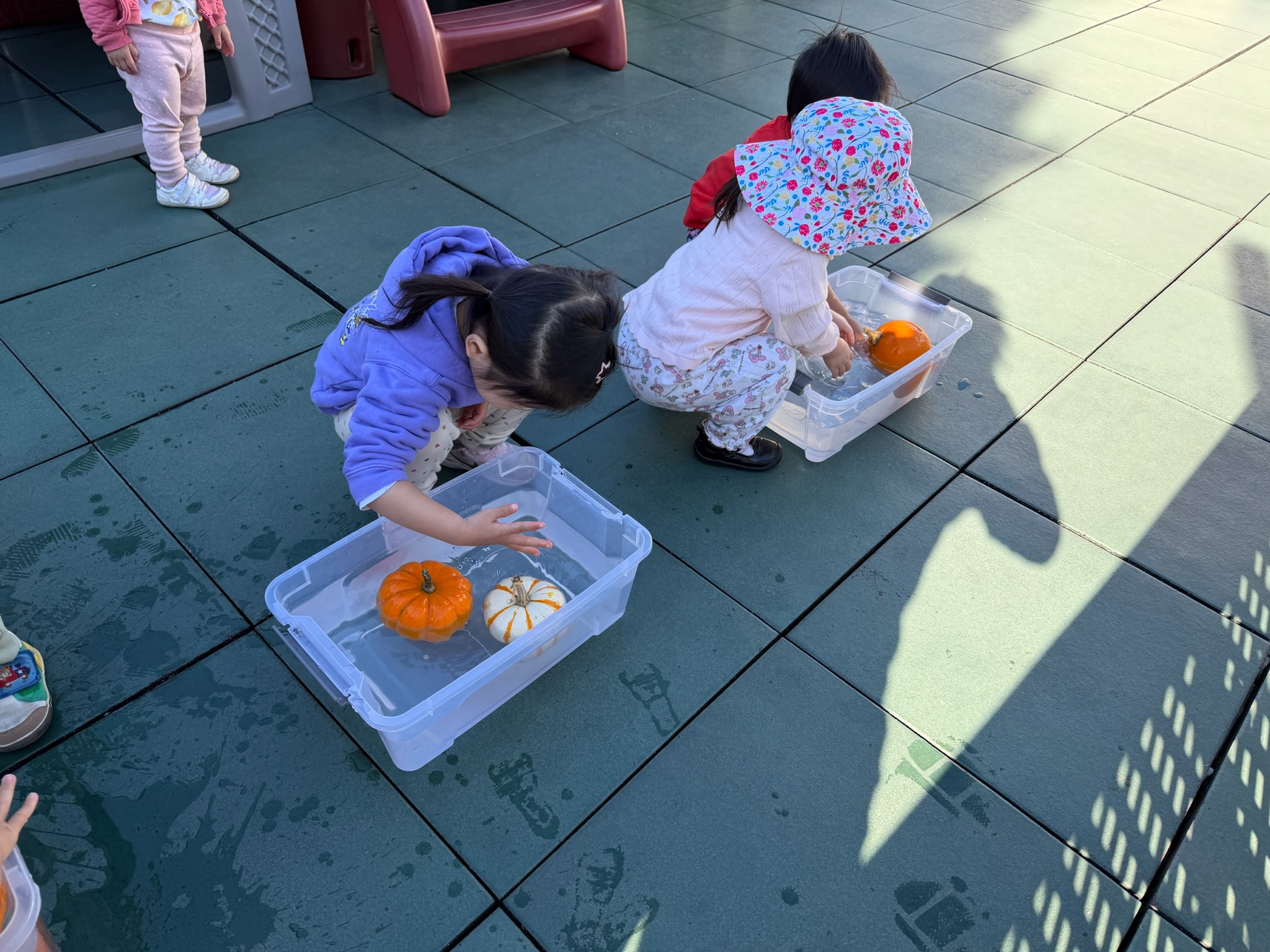 Pumpkin Art and Science